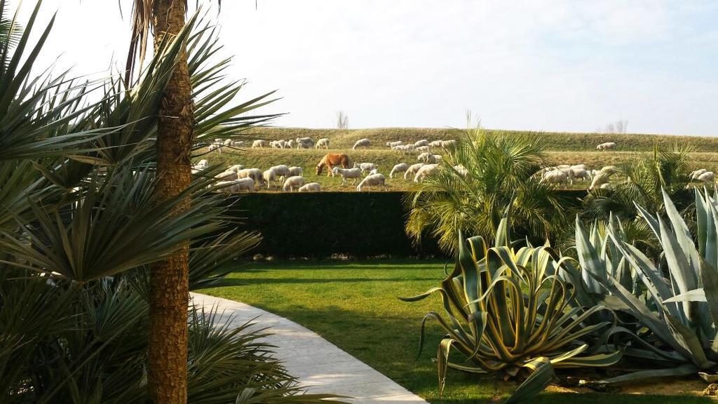 ليغناغو B&B "Corte San Tomaso" المظهر الخارجي الصورة